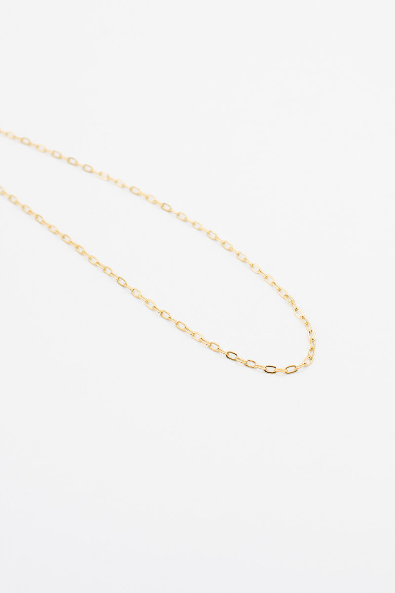Thin Delicate Chain Necklace - Gold Plated